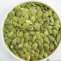 Edible Green Color Shine Skin Pumpkin Kernel (AA) From China